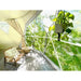 4-season-deluxe-glamping-package-dome-165m-480