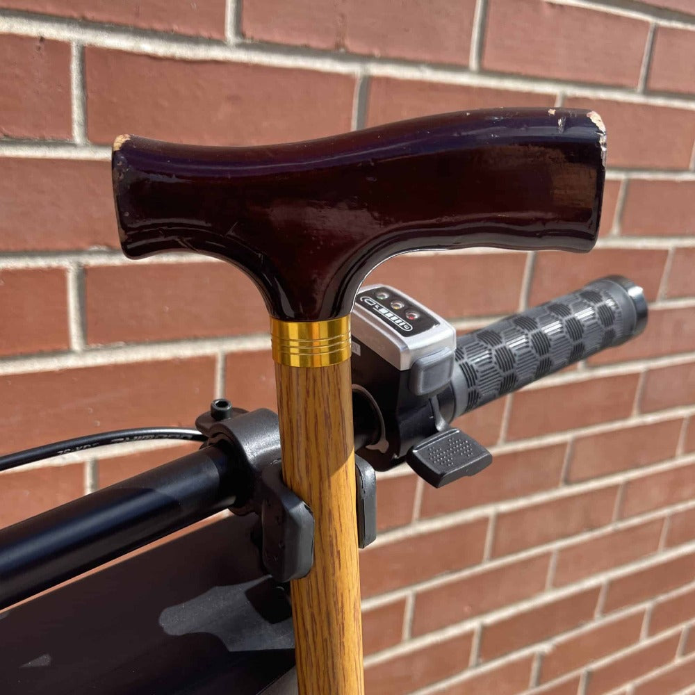 Cane-Holder-on-Scooter-Square-scaled