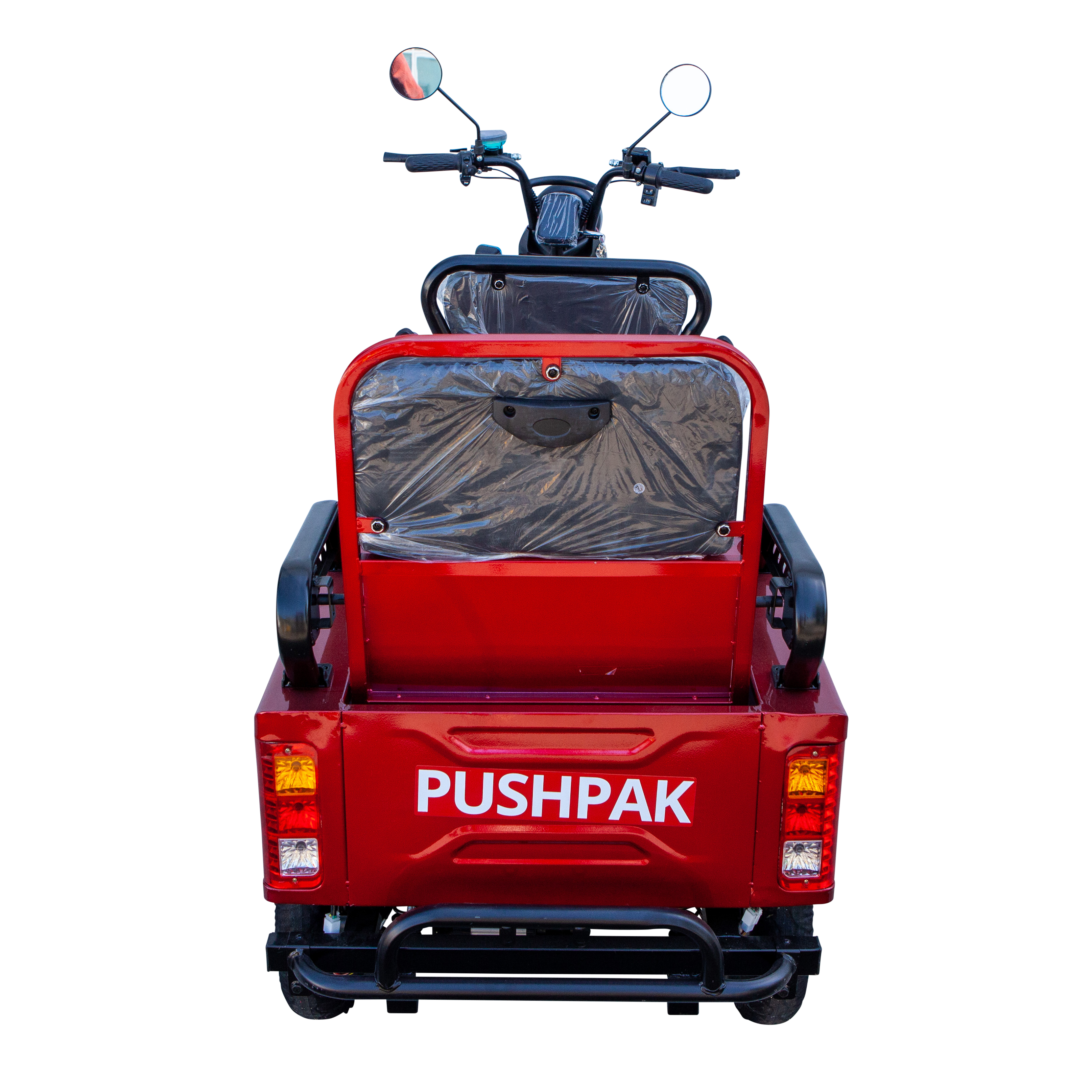 Pushpak 2-Person Electric Trike Recreational Scooter Pushpak 3000